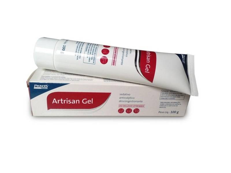 ARTRISAN GEL 100GR