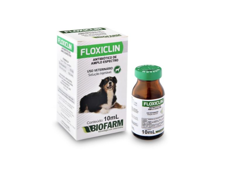 FLOXICLIN PET 10ML